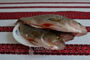Уха из окуня: рецепты из морской и речной рыбы